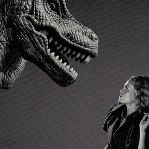 Medium Silver Steve Madden Bag pockets